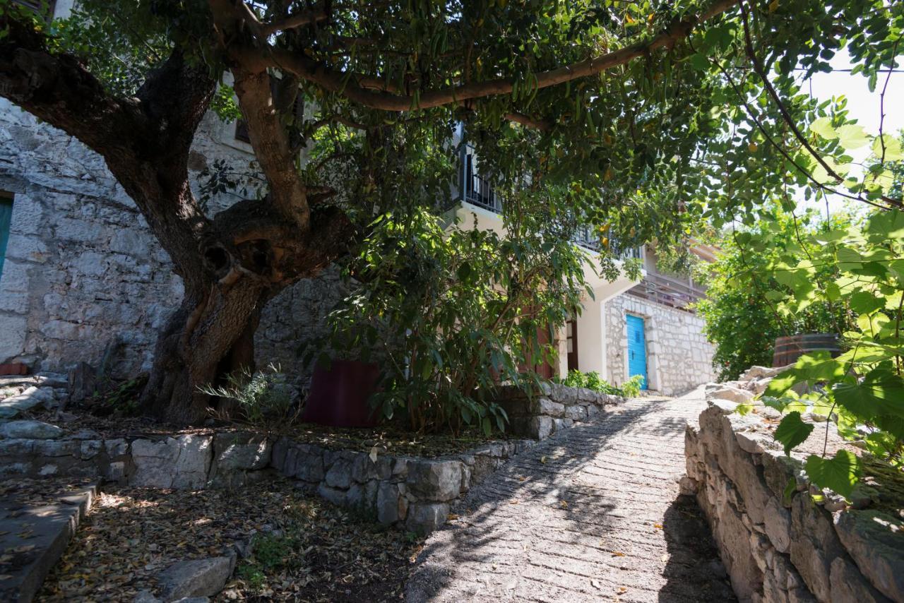 Guesthouse Pavla Goveđari Exteriör bild